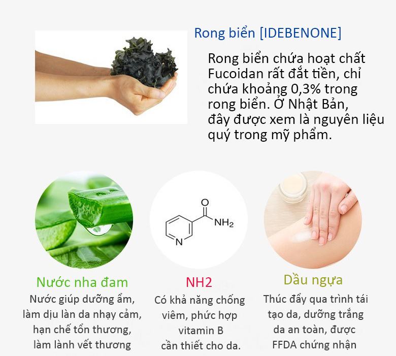 Mat Na Duong Am Butyda Fucoidan Seaweed Mask Pack (7)