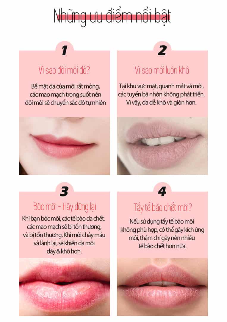 Mat Na Ngu Moi Luu Carenel Pomegranate Lip Night Mask (10)