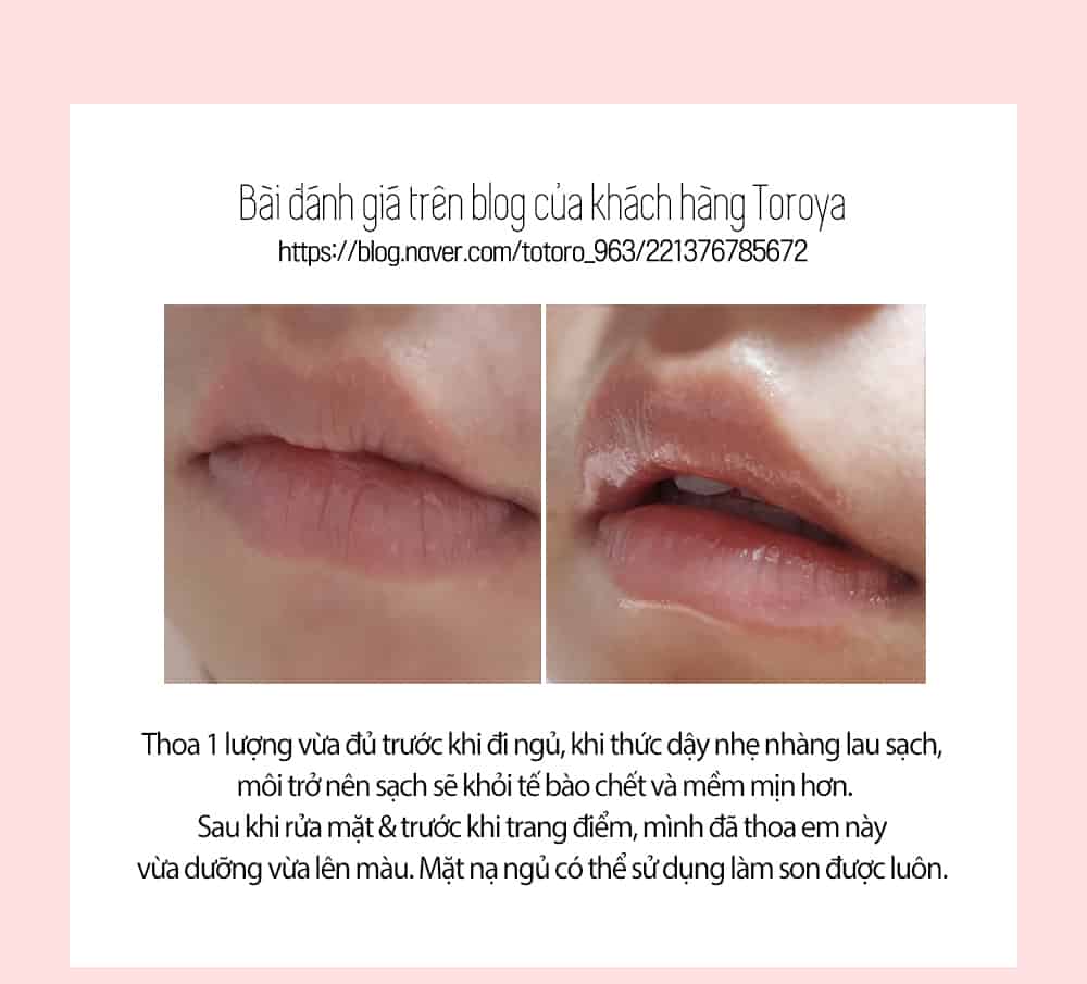 Mat Na Ngu Moi Luu Carenel Pomegranate Lip Night Mask (6)