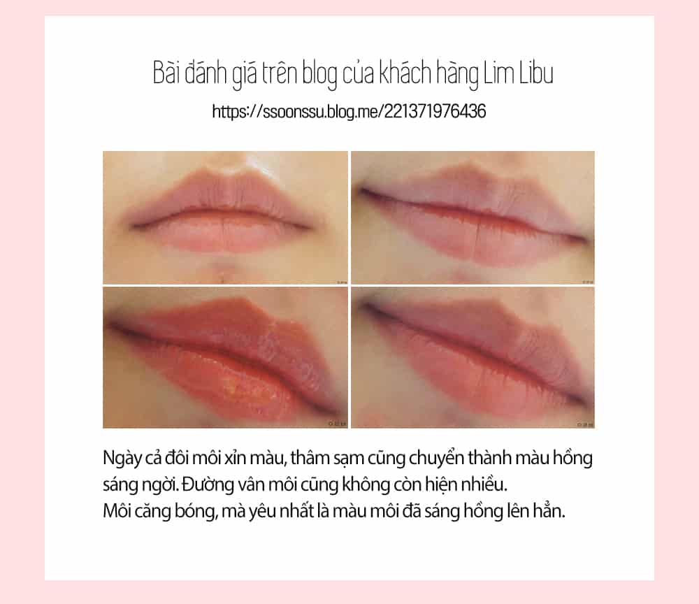 Mat Na Ngu Moi Luu Carenel Pomegranate Lip Night Mask (9)