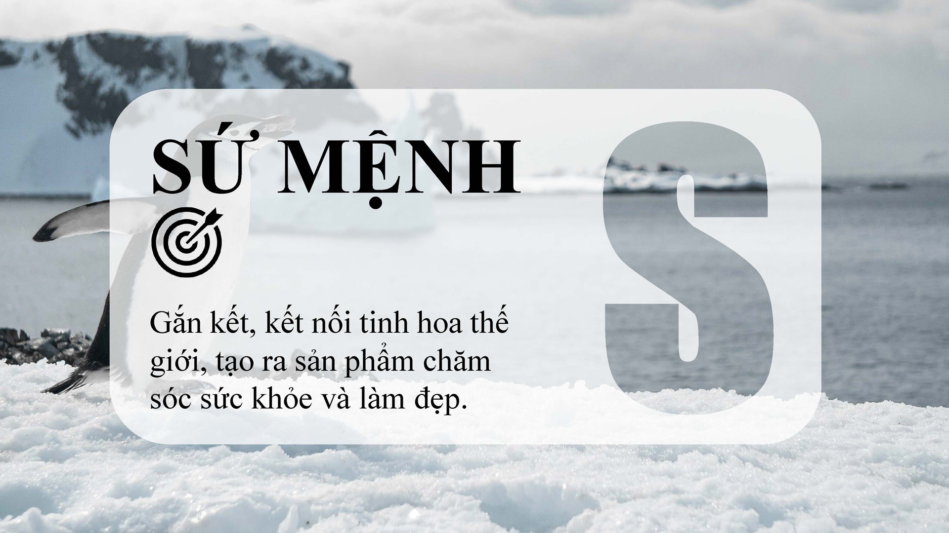 sứ mệnh trong tuyên ngôn tâm an