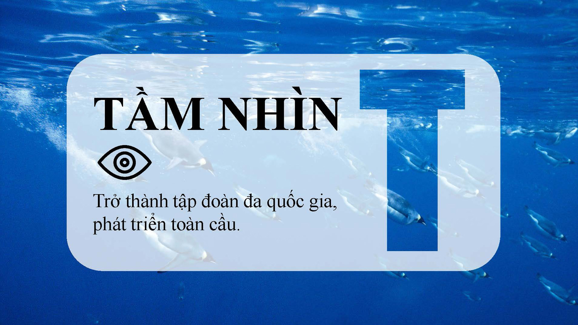Tầm nhìn trong tuyên ngôn tâm an